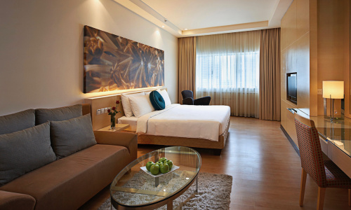 Executive Room Executive Room