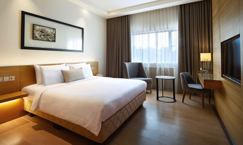 ANSA Deluxe Room ANSA Deluxe Room
